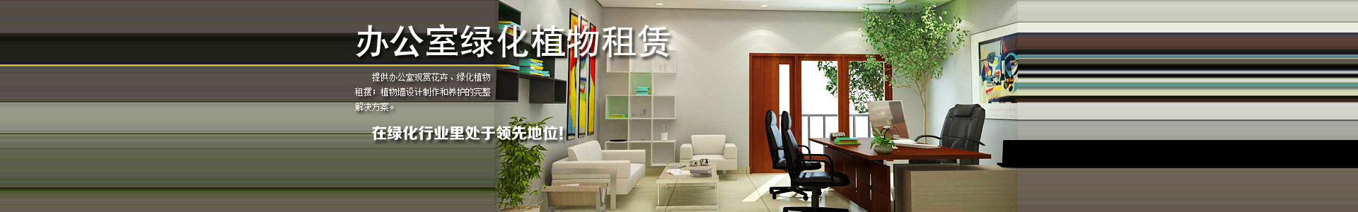 办公室植物租赁租摆