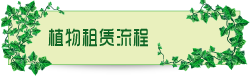 植物租赁流程