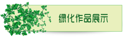 绿化作品展示