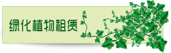 办公室绿化植物租赁