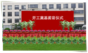 临时活动用花、花篮配送
