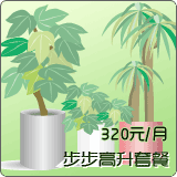 步步高升套餐