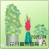 花开富贵 A 套餐