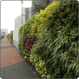 写字楼办公室植物墙绿化效果图(48)