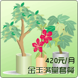 金玉满堂套餐