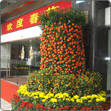 写字楼办公室活动绿化效果图(30)