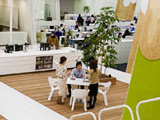 打造鲜活的办公室绿化环境