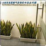 写字楼办公室绿化效果图(140)
