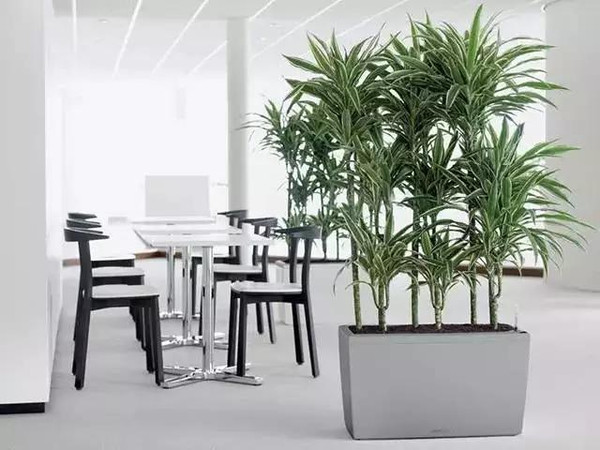 写字楼办公室绿化效果图(144)