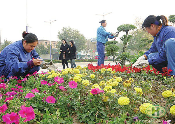 草花轮换